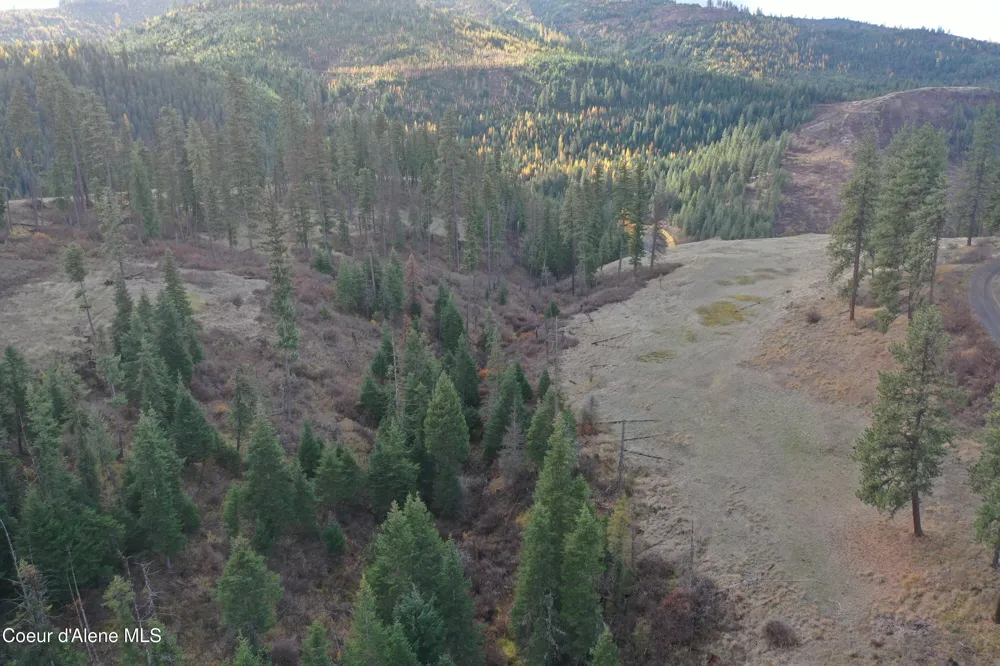 NKA Bugle Point Rd. St. Maries, ID 83861