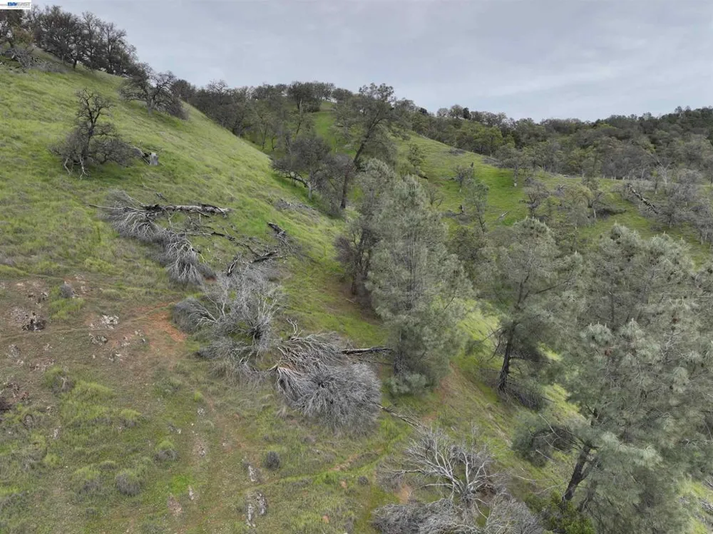 11130 Lakeshore Dr Clearlake, CA 95424