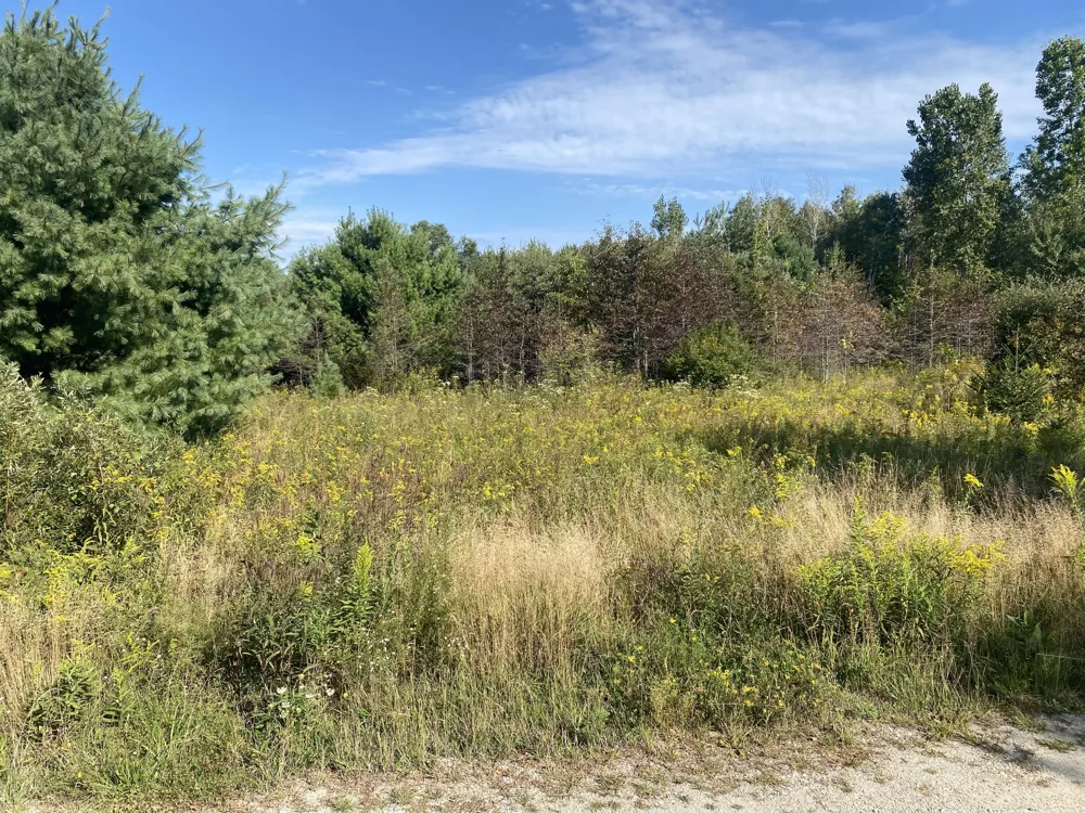 6325 Maple Island Road Nunica, MI 49448