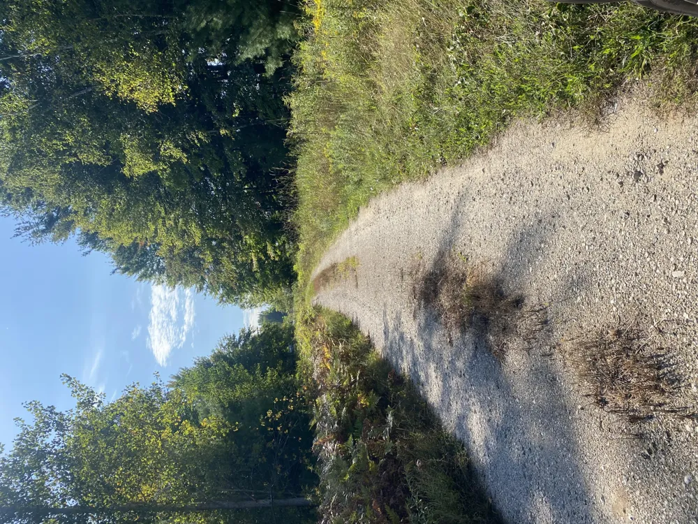 6325 Maple Island Road Nunica, MI 49448