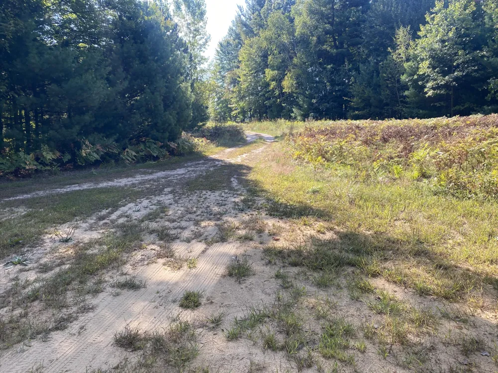 6325 Maple Island Road Nunica, MI 49448