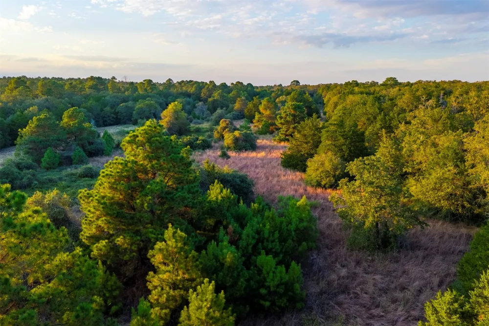 1400 Fm 535 Smithville, TX 78957