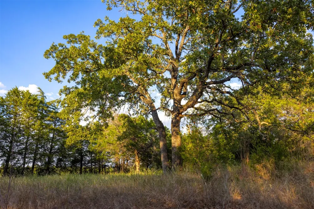 1400 Fm 535 Smithville, TX 78957