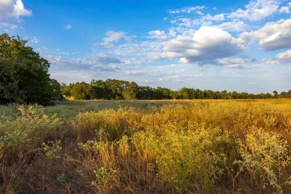 1400 Fm 535 Smithville, TX 78957
