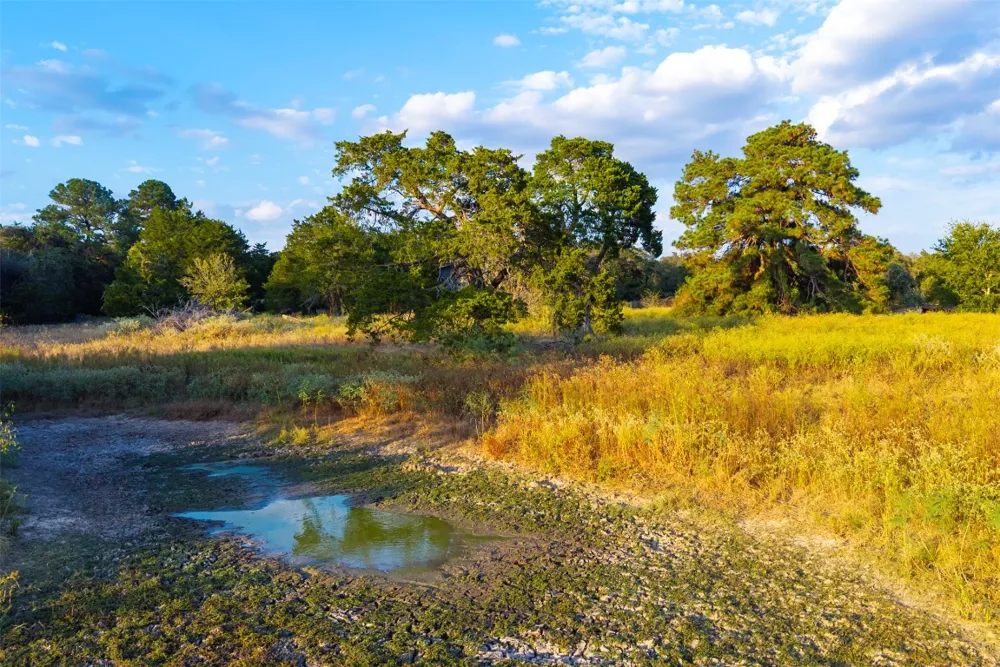 1400 Fm 535 Smithville, TX 78957