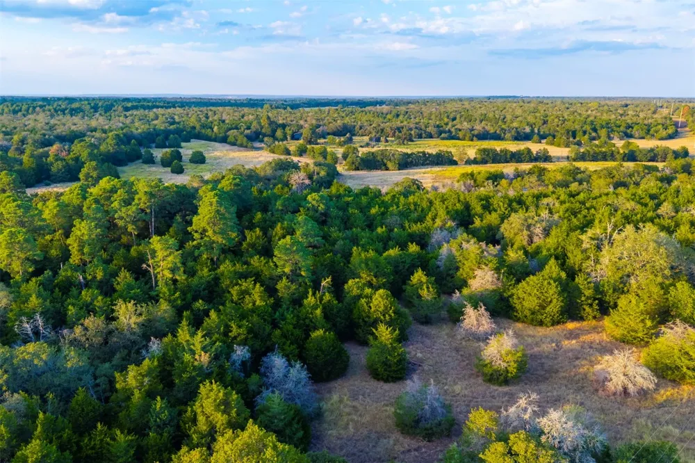 1400 Fm 535 Smithville, TX 78957