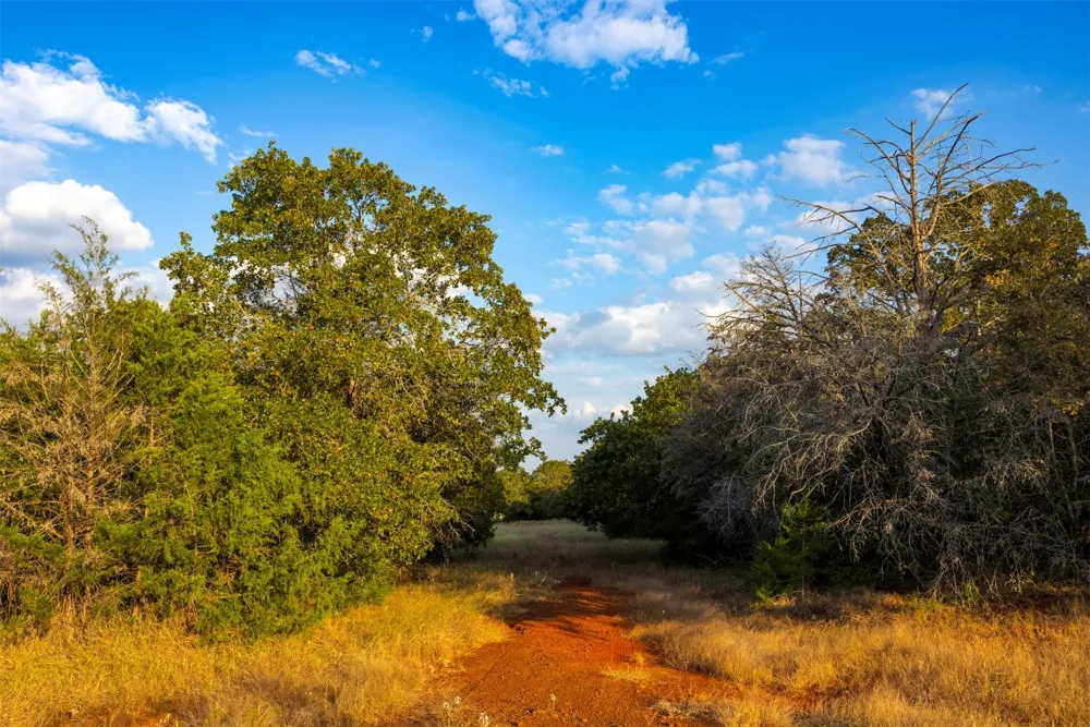 1400 Fm 535 Smithville, TX 78957