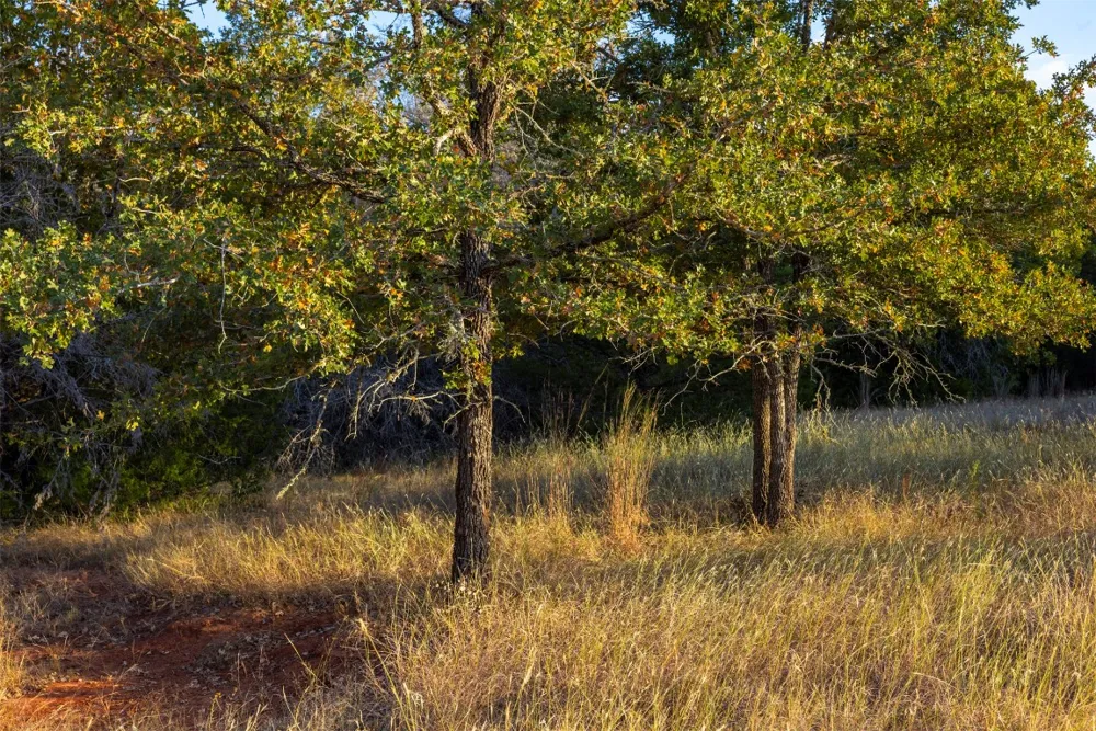 1400 Fm 535 Smithville, TX 78957