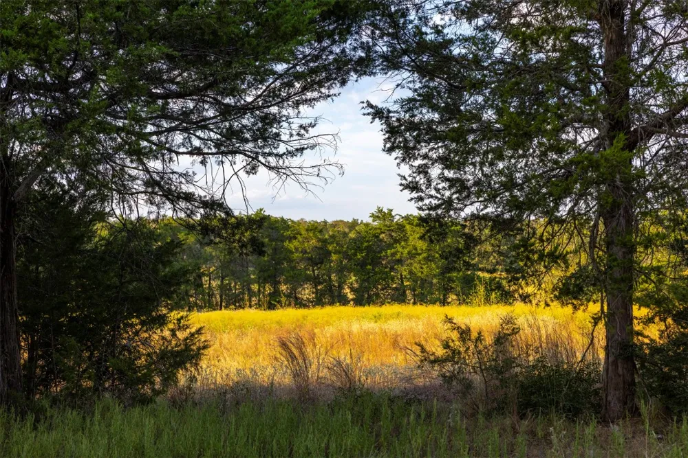 1400 Fm 535 Smithville, TX 78957