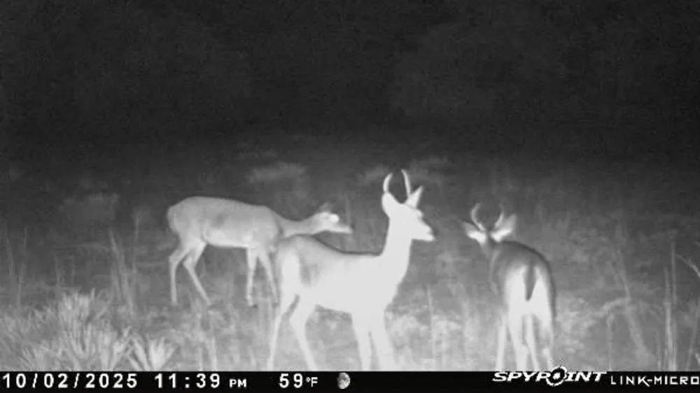 6885 County Road 594 Brownwood, TX 76801
