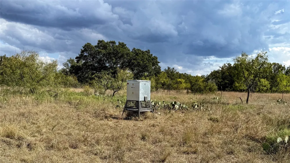 6885 County Road 594 Brownwood, TX 76801