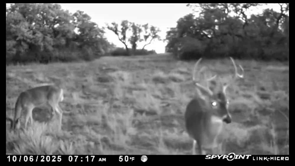 6885 County Road 594 Brownwood, TX 76801