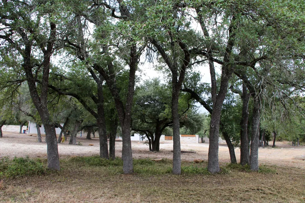 18001 Fm 150 W Driftwood, TX 78619