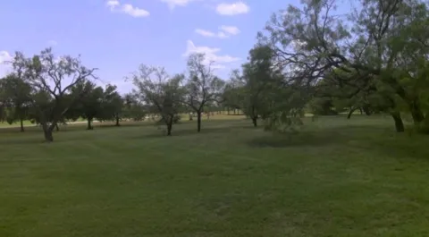 Brushy Creek Court