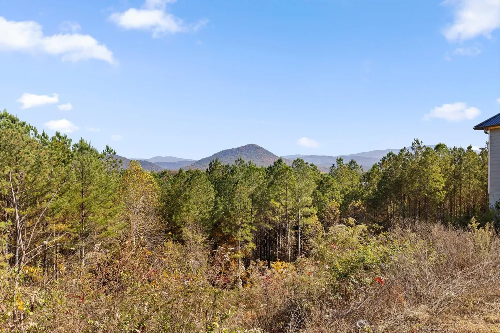 161155 Cherokee Ridge Drive Ocoee, TN 37361