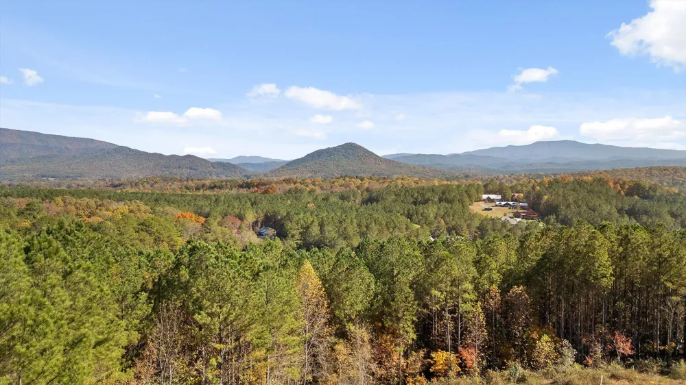 161155 Cherokee Ridge Drive Ocoee, TN 37361