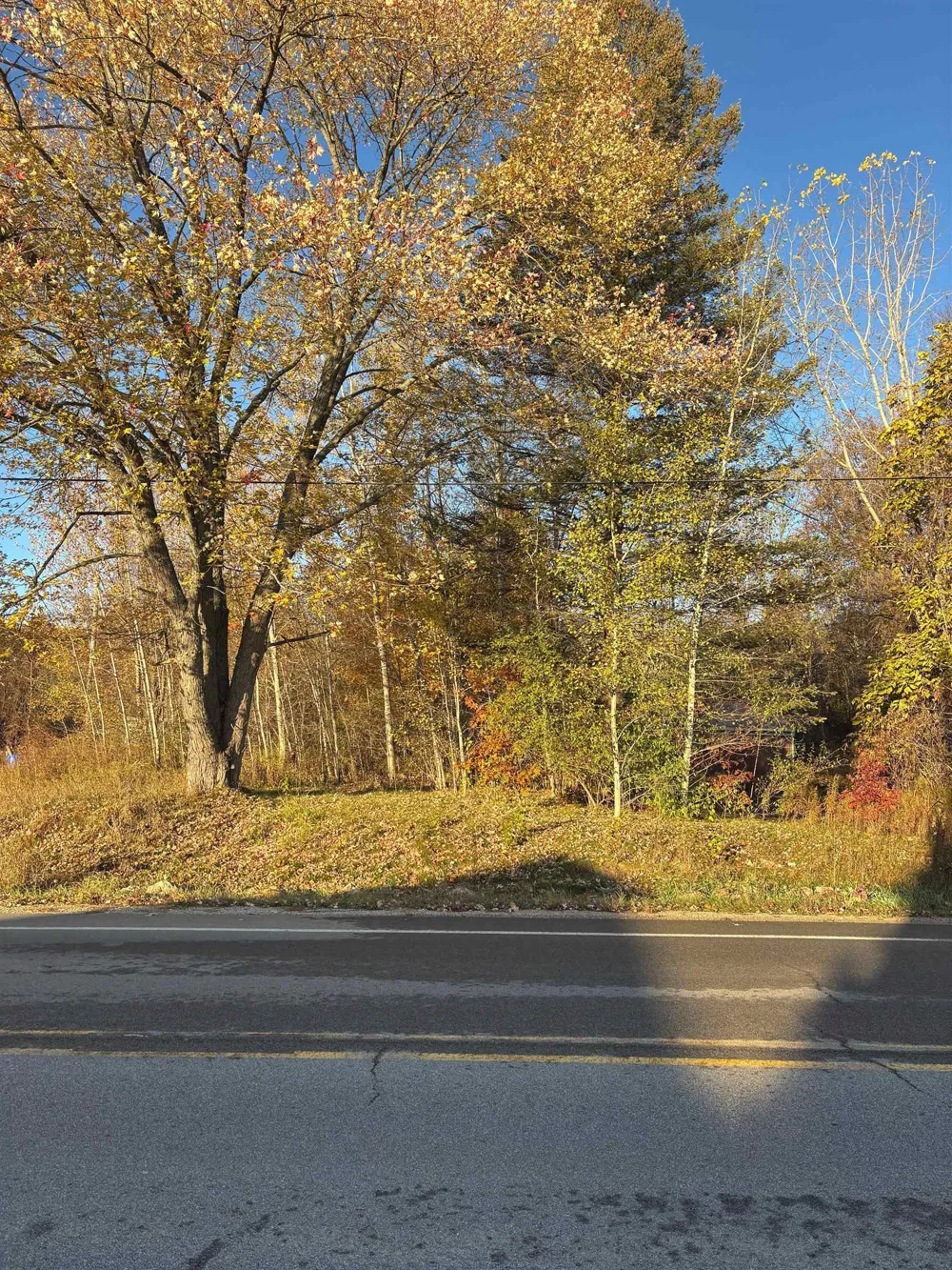 8698 Old State Avenue Surrey Township, MI 48622