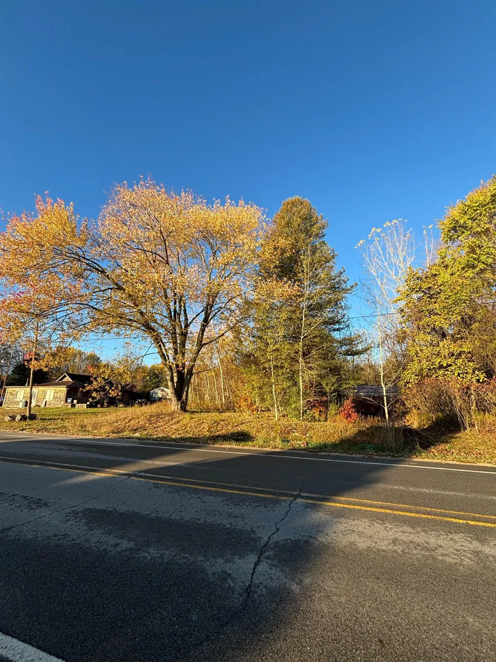 8698 Old State Avenue Surrey Township, MI 48622