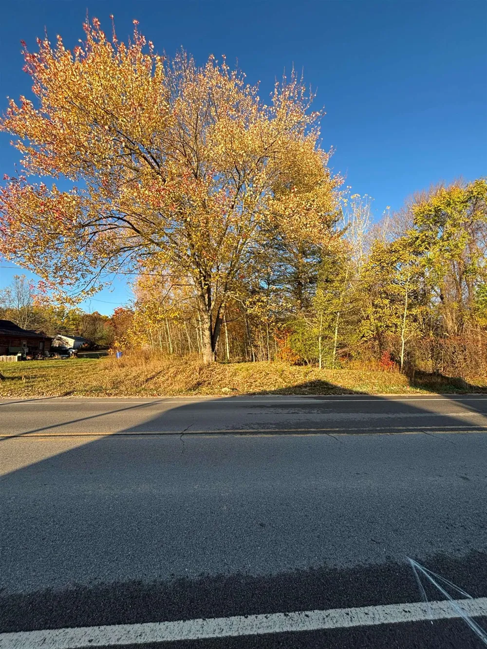 8698 Old State Avenue Surrey Township, MI 48622