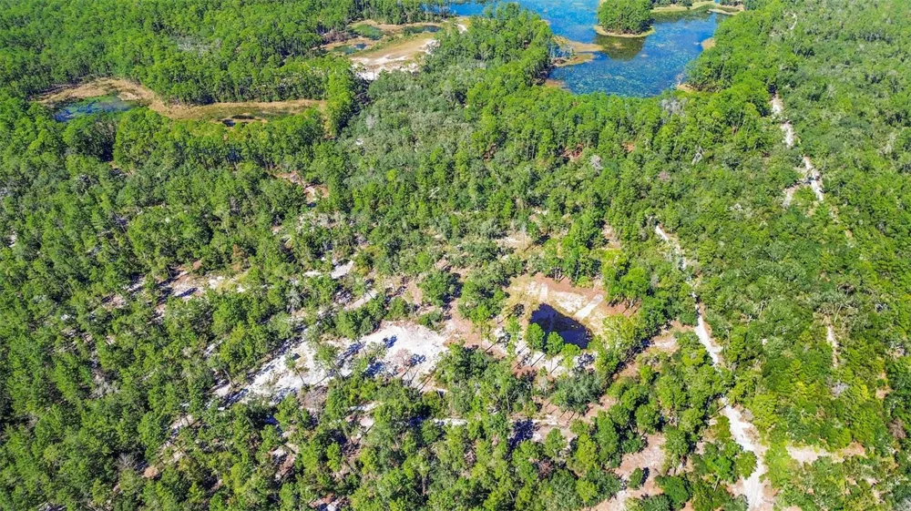 DEEP WOODS ROAD Paisley, FL 32767