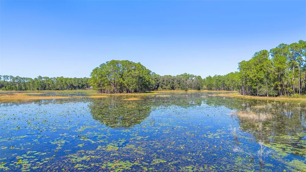 DEEP WOODS ROAD Paisley, FL 32767
