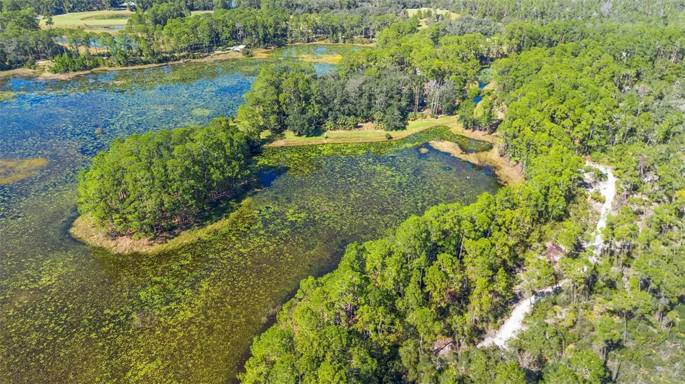 DEEP WOODS ROAD Paisley, FL 32767