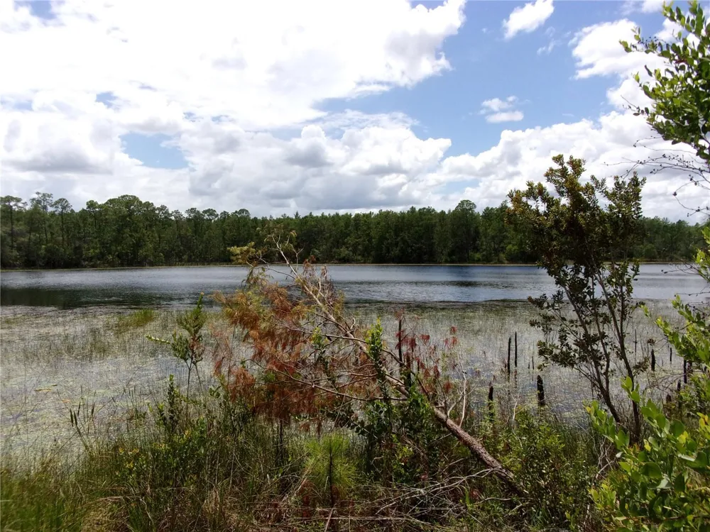 DEEP WOODS ROAD Paisley, FL 32767