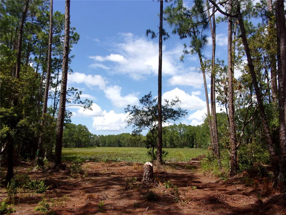 DEEP WOODS ROAD Paisley, FL 32767