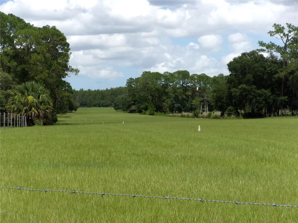 DEEP WOODS ROAD Paisley, FL 32767