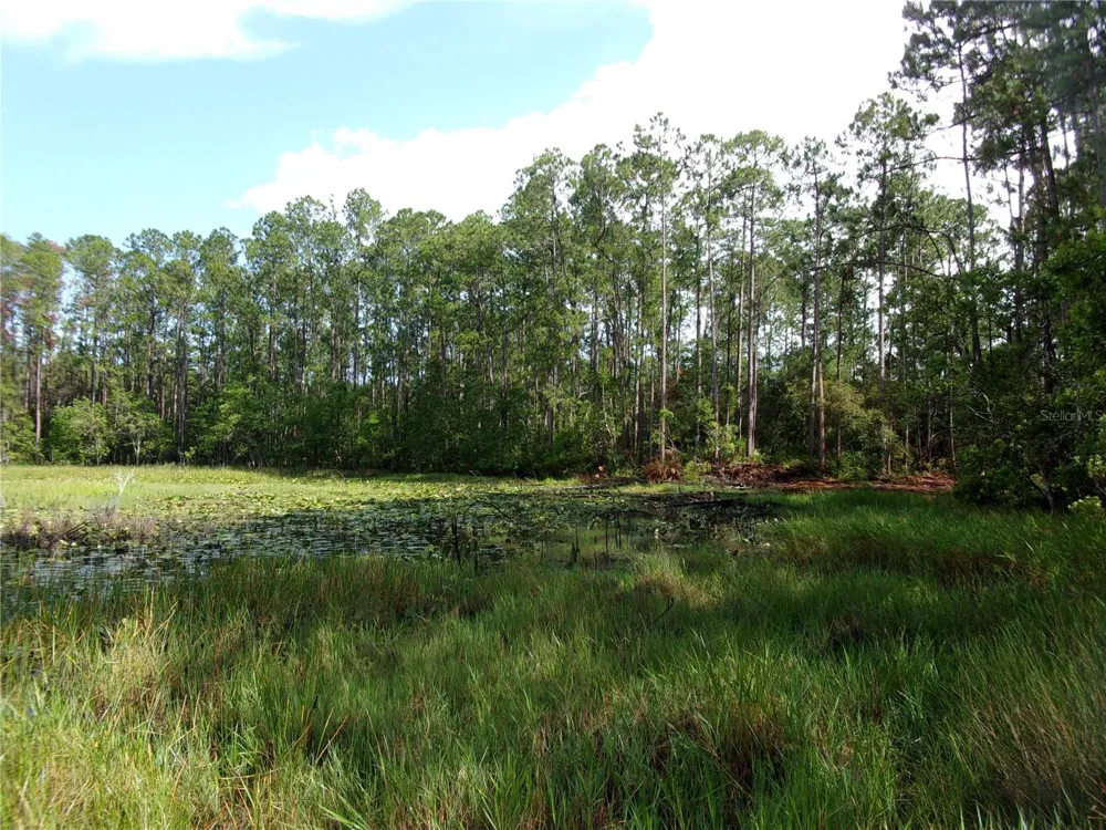 DEEP WOODS ROAD Paisley, FL 32767