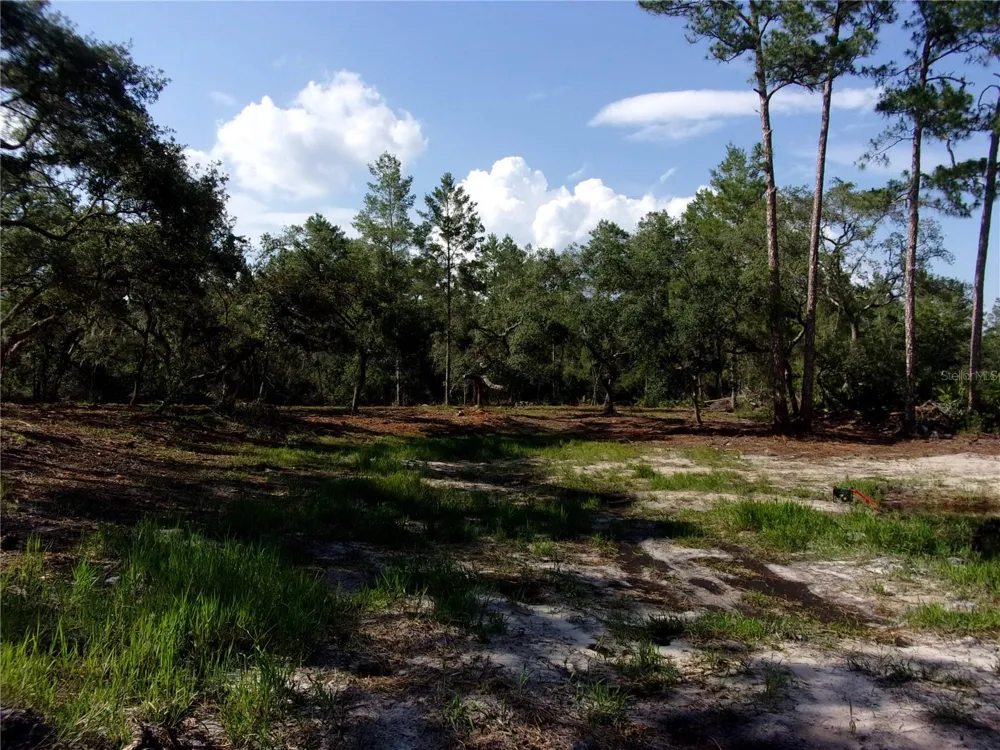 DEEP WOODS ROAD Paisley, FL 32767