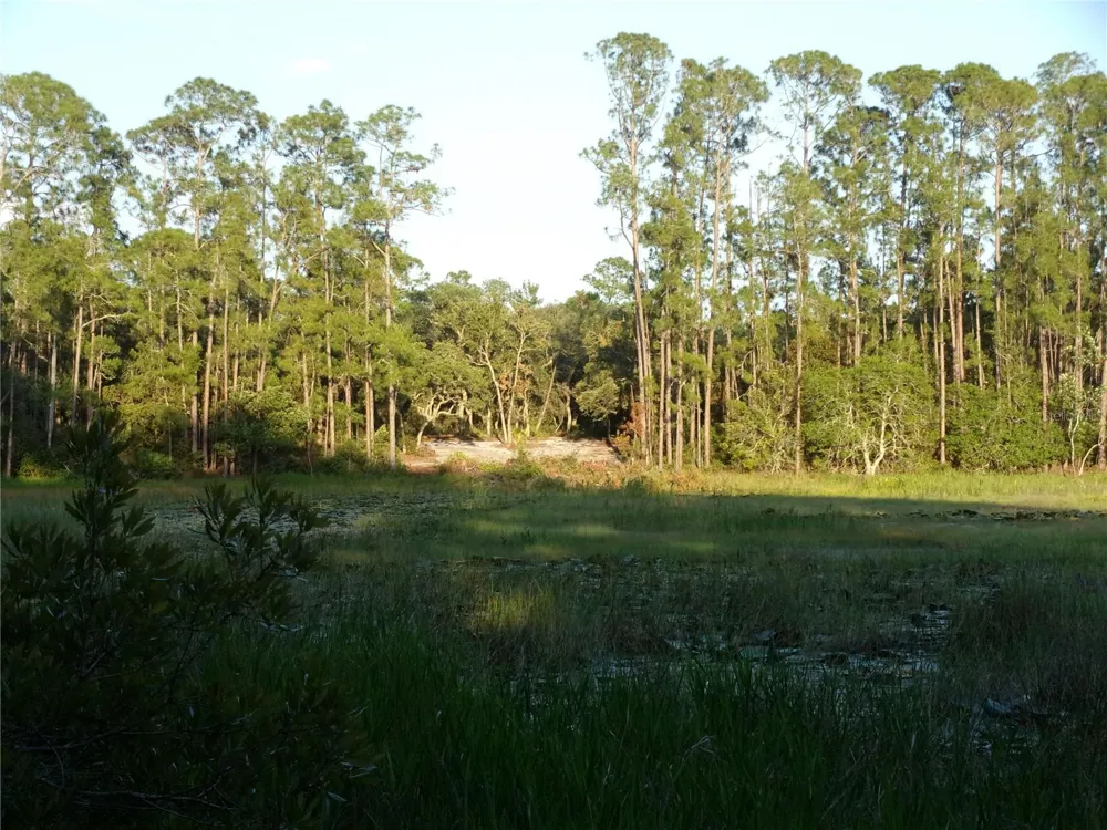 DEEP WOODS ROAD Paisley, FL 32767