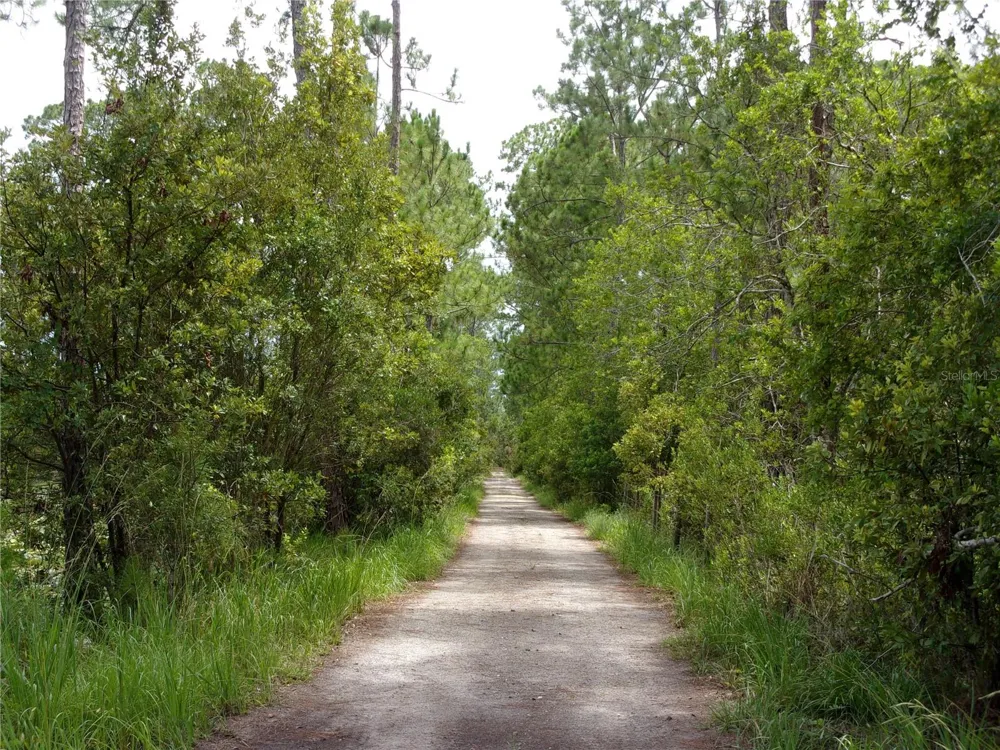 DEEP WOODS ROAD Paisley, FL 32767