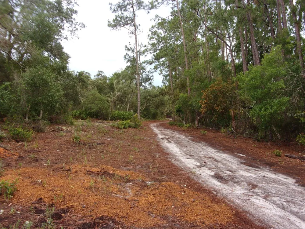 DEEP WOODS ROAD Paisley, FL 32767