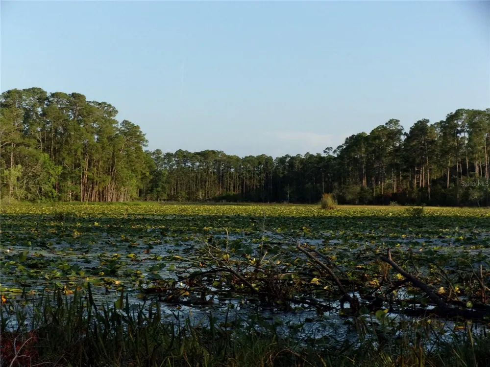 DEEP WOODS ROAD Paisley, FL 32767