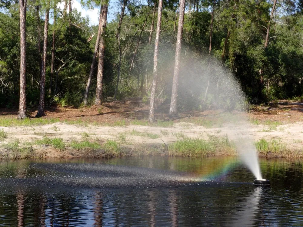 DEEP WOODS ROAD Paisley, FL 32767