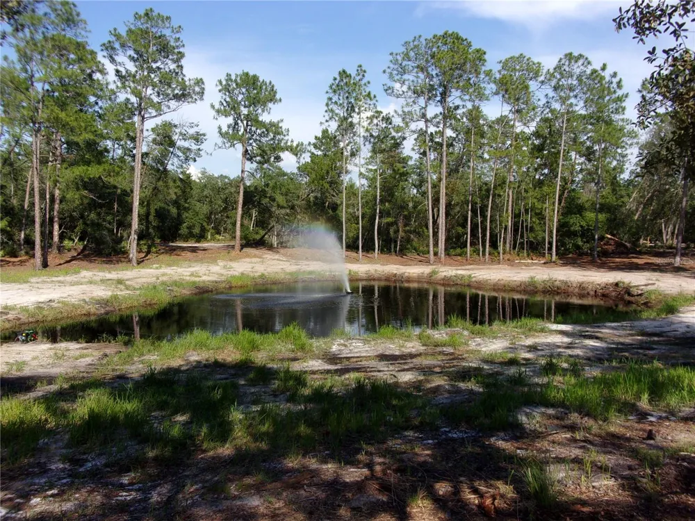 DEEP WOODS ROAD Paisley, FL 32767