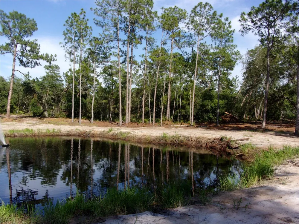 DEEP WOODS ROAD Paisley, FL 32767
