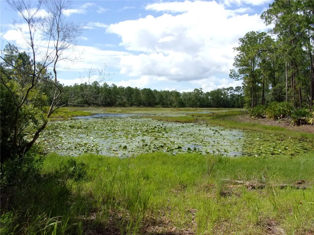 DEEP WOODS ROAD Paisley, FL 32767