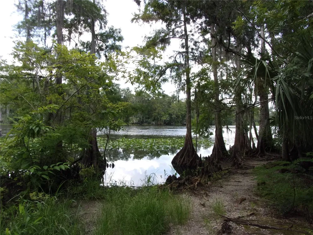 DEEP WOODS ROAD Paisley, FL 32767