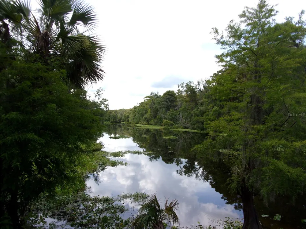 DEEP WOODS ROAD Paisley, FL 32767