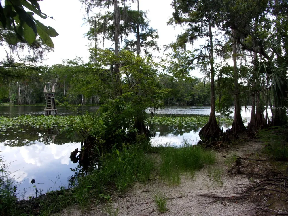 DEEP WOODS ROAD Paisley, FL 32767