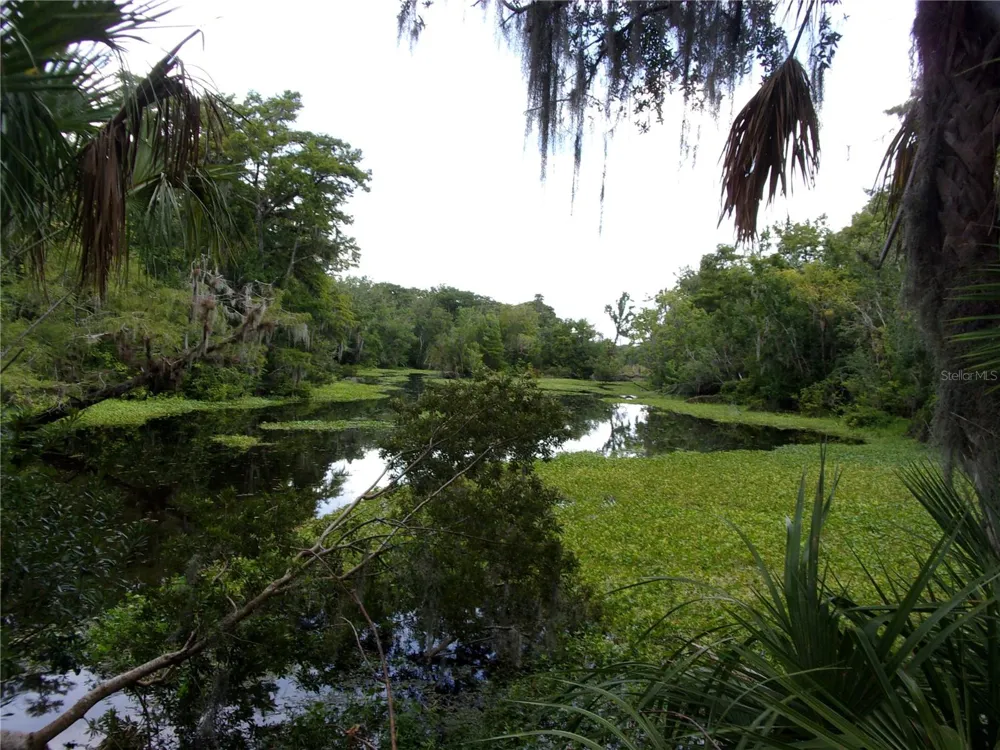 DEEP WOODS ROAD Paisley, FL 32767