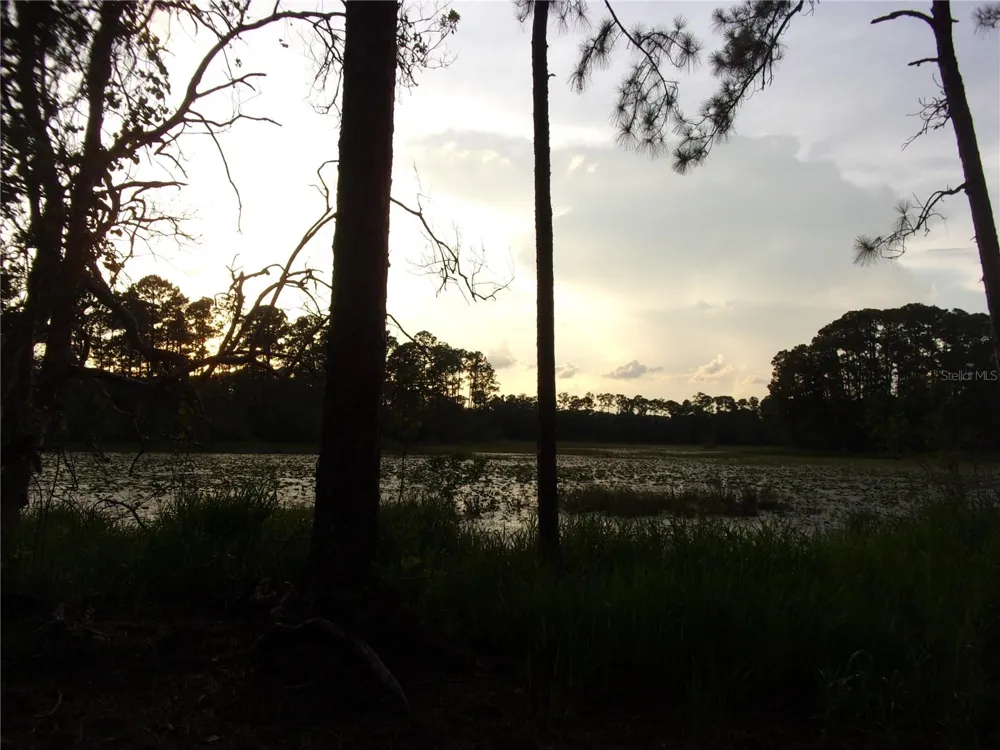 DEEP WOODS ROAD Paisley, FL 32767