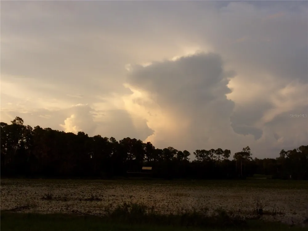 DEEP WOODS ROAD Paisley, FL 32767