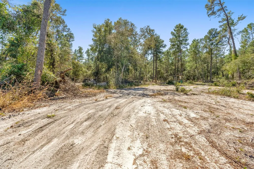 DEEP WOODS ROAD Paisley, FL 32767