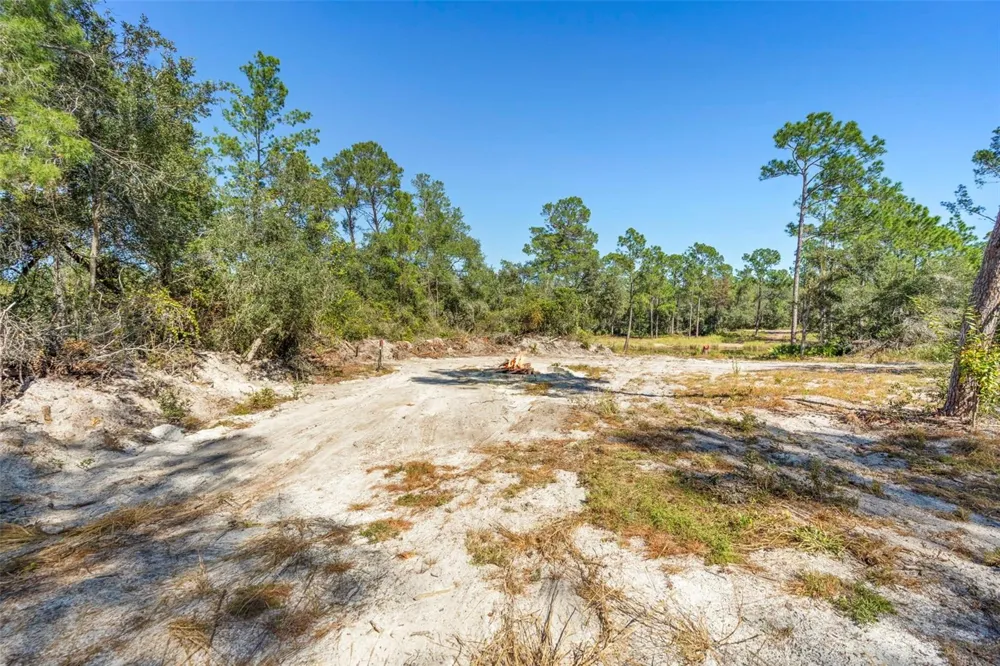 DEEP WOODS ROAD Paisley, FL 32767