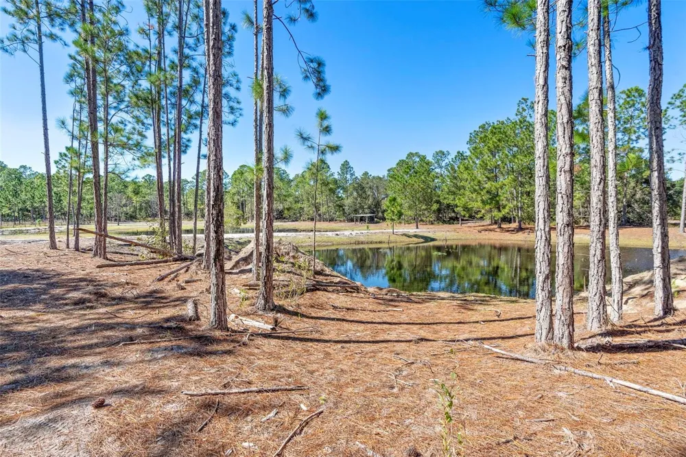 DEEP WOODS ROAD Paisley, FL 32767