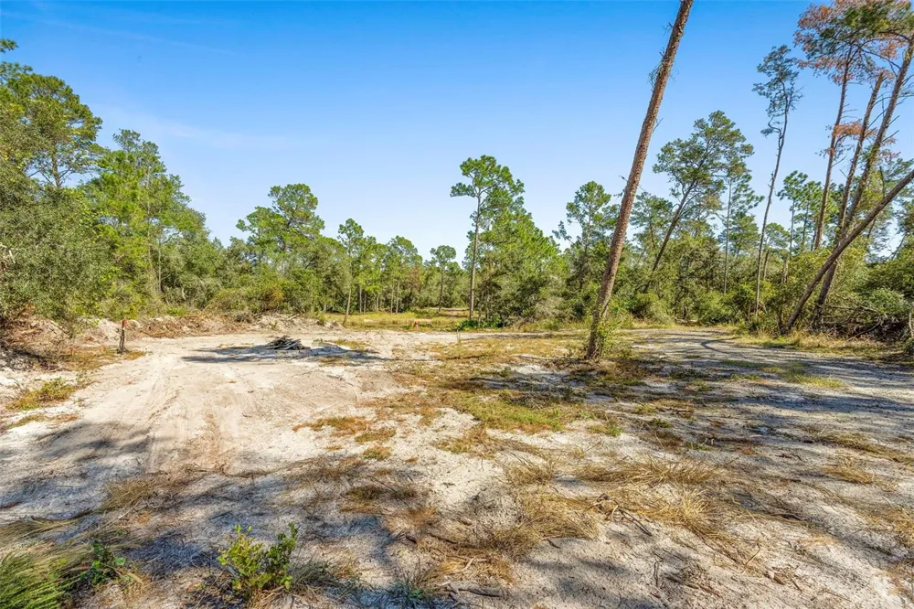 DEEP WOODS ROAD Paisley, FL 32767