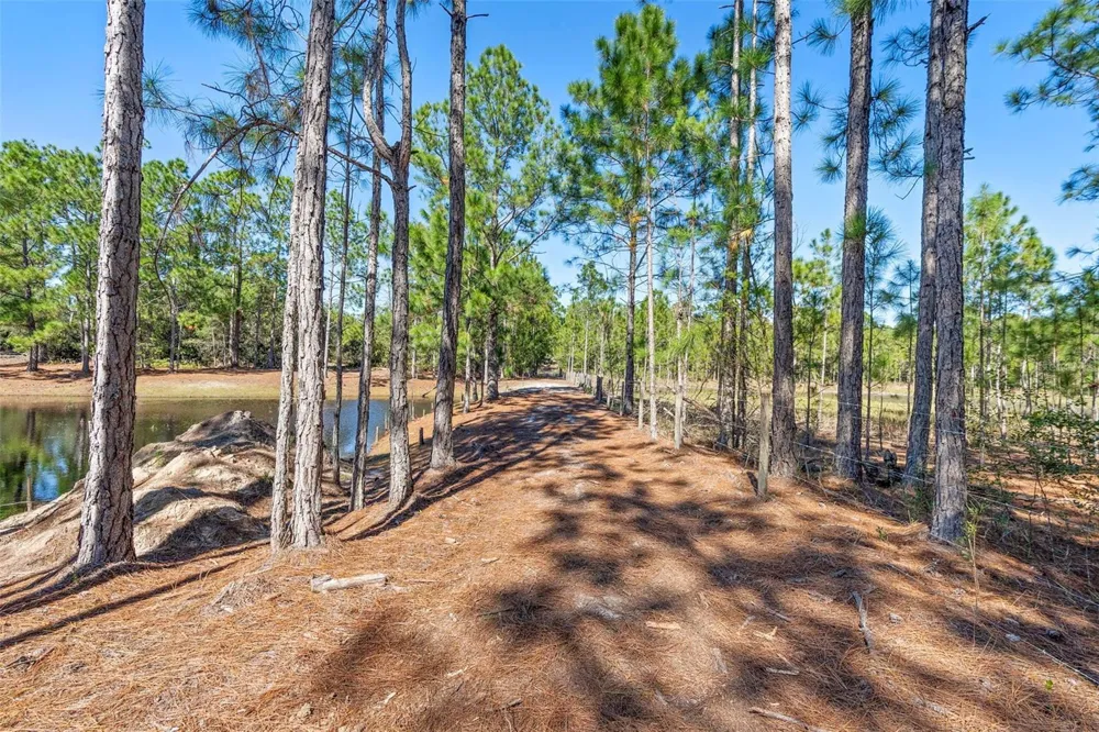 DEEP WOODS ROAD Paisley, FL 32767